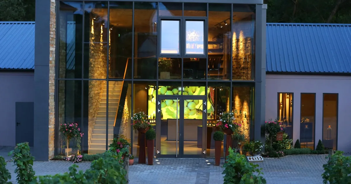 Würzburg: guided tour of the wine cellar incl. trio wine tasting