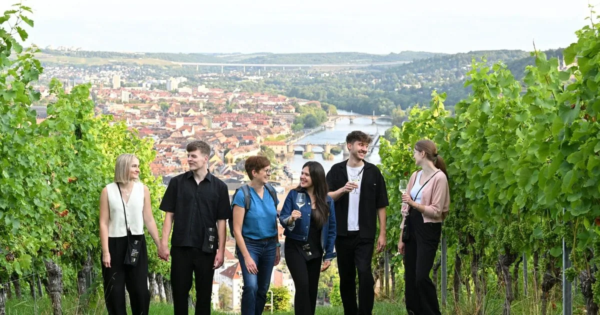 Würzburg: Vineyard Tour including Wine Cellar, 5 Wine Tastings and Pastries